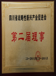 四川省战略性新兴产业促进会第二届理事－六合锻造